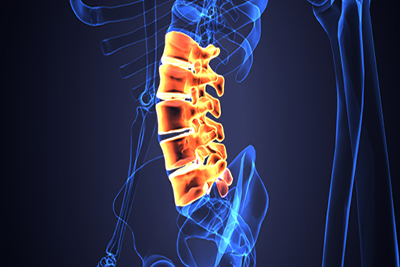 image of spinal cord xray