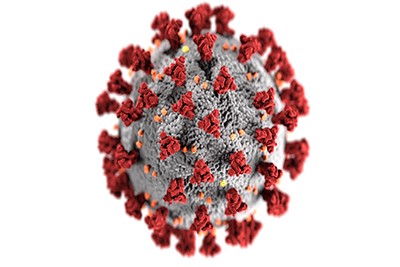 A medical drawing of a corona virus