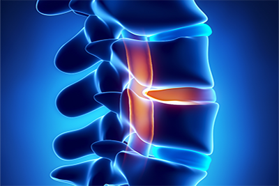 illustration of the spine