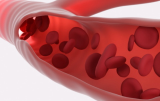 illustration of blood flow