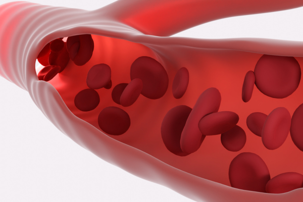 illustration of blood flow