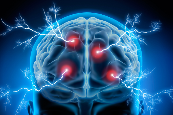 brain pathways